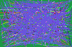 reverse lookup telephone